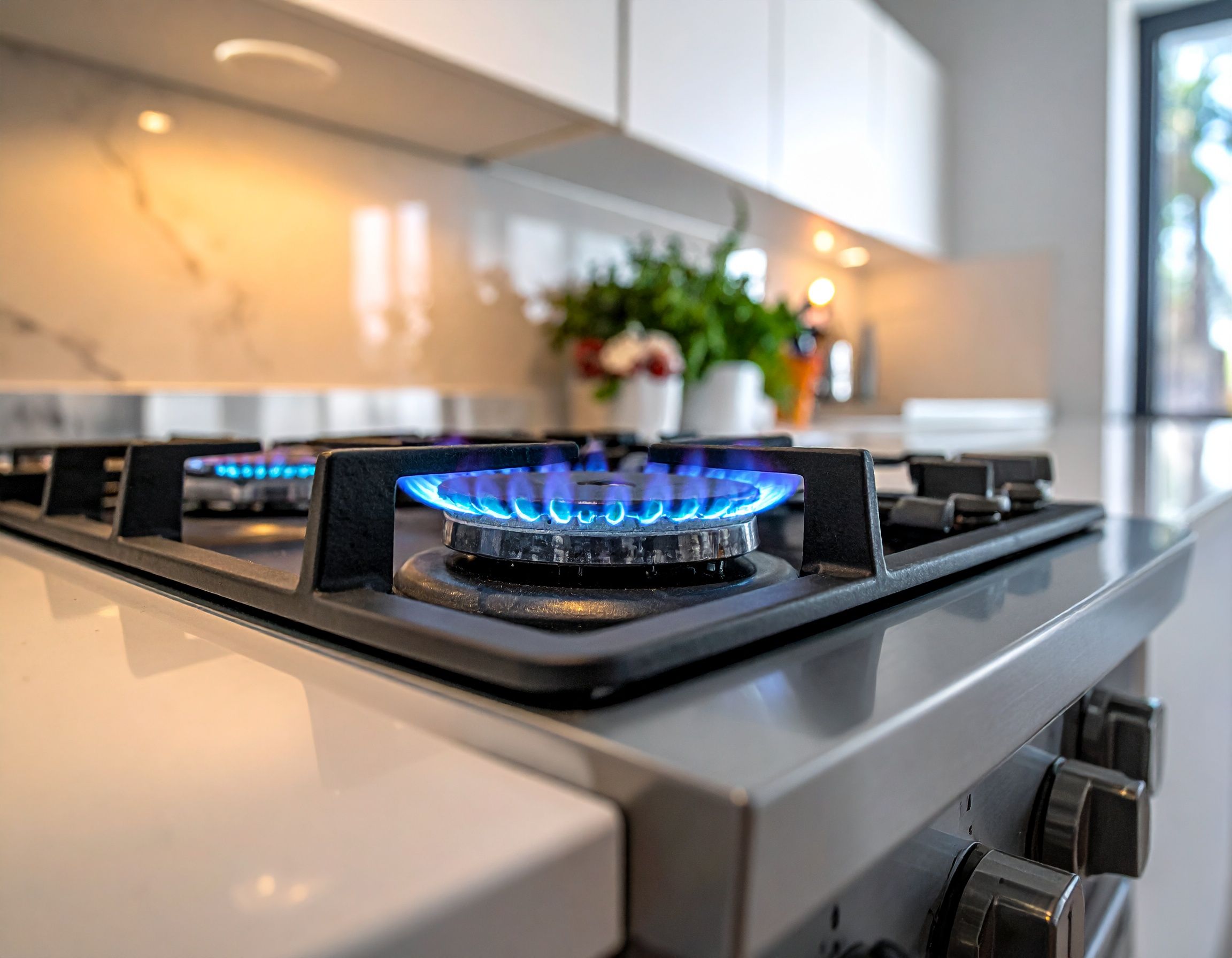 Sector Residencial - Gas 365